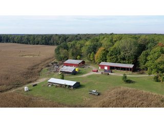 Tract 1 - LaGrange County, Indiana farmland - LAND AUCTION - 160+/- ACRES OFFERED IN 9 TRACTS IN LAGRANGE COUNTY, INDIANA